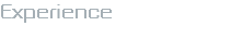 Experience